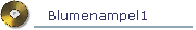 Blumenampel1