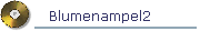 Blumenampel2