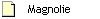 Magnolie