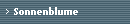 Sonnenblume